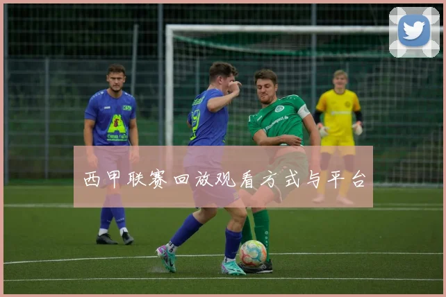 西甲联赛回放观看方式与平台