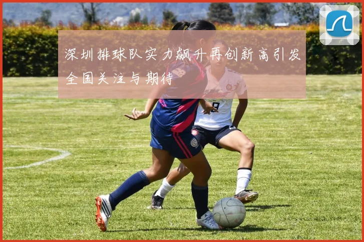 深圳排球队实力飙升再创新高引发全国关注与期待